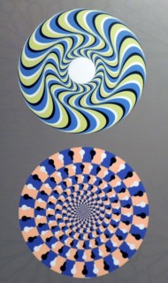 Rotating Snakes optical illusion. we perceive the brightly coloured circles of the image to be in circular motion. perhaps this is due to with microsaccades, or involuntary eye movements, that attempt...
