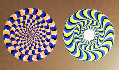 Rotating Snakes optical illusion. we perceive the brightly coloured circles of the image to be in circular motion. perhaps this is due to with microsaccades, or involuntary eye movements, that attempt...