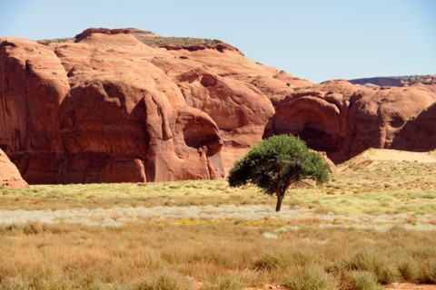 Monument Valley, Navajo Tribal Park, Arizona, USA