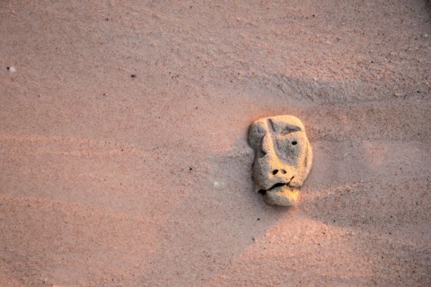 Coral on sand with a strange shape of head