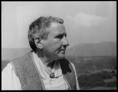 Portrait of Gertrude Stein, Biliguin LCCN2004663587