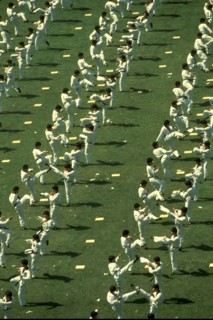 Seoul Korea 1988: Hundreds of athletes perform a martial arts demonstration during the opening ceremonies of the Olympic Summer Games. ©Bob Daemmrich