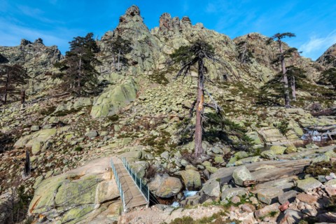GR20 passe crosses watercourse through the new walk bridge in top of Radule waterfall in high of Golo valley and the beginning Valdo-Nielo forest. Nio