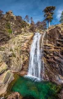 Radule waterfall in High Golo Valley of Corsica Island. Laricio pine trees of Valdo-Nielo forest are in top and natural pool with crystalline water in