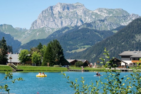 Lac de Vonnes, Chatel