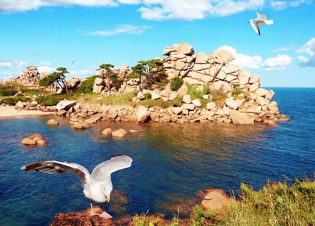 Breton coast in Morbihan, France