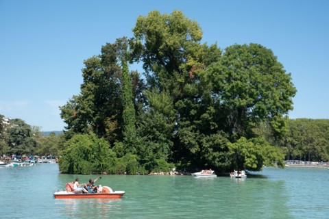 Tourists on Pedalo, Pedal Boat or Paddle Boat & Île des Cygnes, or Swan Island, Annecy Lake or Lac d'Annecy Haute-Savoie France