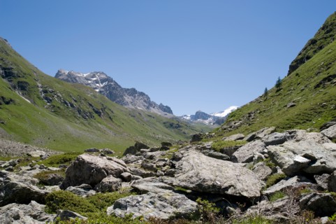 alpine valley plan de la plagne, vanoise, savoie france