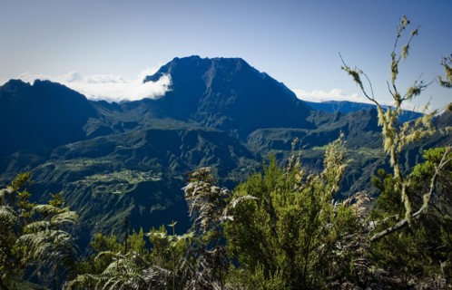 Hiking trail on way to Le Grand Benare, Reunion Island, French overseas department in Indian Ocean