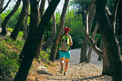 woman hiking through pine forest, France, Provence, Calanques National Park, Marseille Cassis La Ciotat