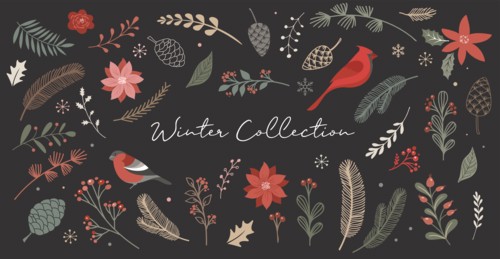 Botanical Christmas, Xmas elements, winter flowers, leaves, birds and pinecones isolated on white backgrounds.