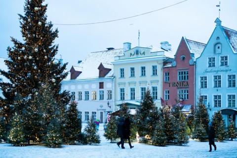 Christmas tree in Tallinn Old Town central square. Nordic holiday decorations in Tallinn.