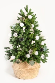 Eco Christmas tree in wicker basket decorated white snowflakes and baubles isolated on white background. Creative trendy idea for Xmas holiday. Reusab