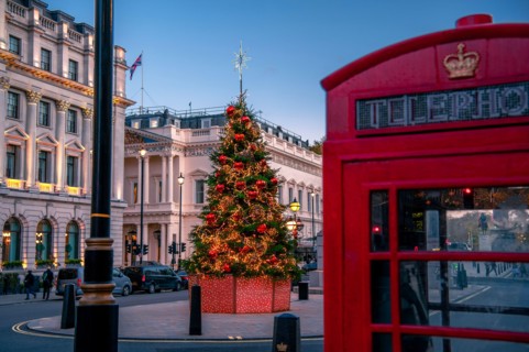 Christmas scene outdoors in London, with decorated tree and red colourful holiday lights on the street