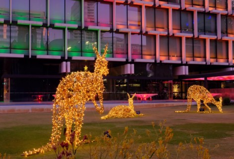 Perth: Christmas kangaroos with shining gold lights at twilight at Council House, St Georges Terrace, Perth, Western Australia