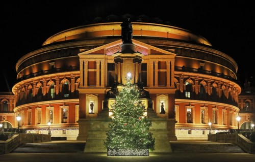 The Royal Albert Hall with Christmas Tree, Illuminated at night.