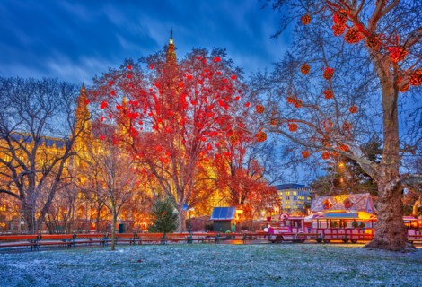 Vienna town hall and park