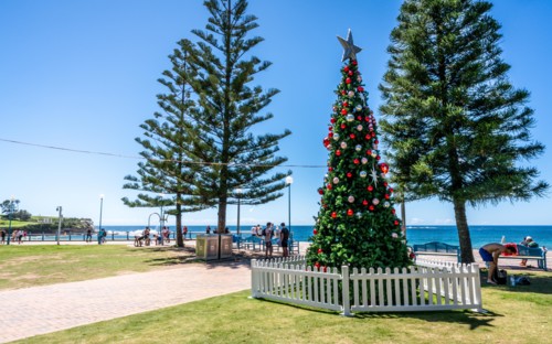 24th December 2018, Sydney NSW Australia : Christmas tree on the foreshore of Coogee beach in Sydney NSW Australia