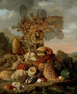 Shells and Marine Plants, Henricus Franciscus Wiertz, 1809 painting Still life with exotic shells and a few pieces of coral, together on a rock on the coast.  canvas. oil paint (paint)  still life of ...