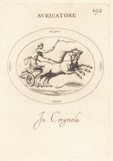 Aurigator or Roman charioteer driving a biga, a two-horse chariot.   He wears a pileus felt hat and holds a whip. The palm signifies victory in a race. In carnelian. Avricatore. In corgnola. Copperpla...