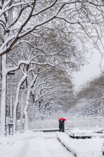 Paris under the snow and floods, snowman on the bank of the Seine, beautiful building facades in winter
