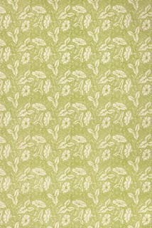 Petunia flowers depicted in the Art Nouveau floral pattern published in 1901 in Prague, Austro-Hungarian Empire (now in the Czech Republic).