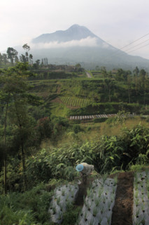 Farmer village near Mt Merapi Indonesia volcano