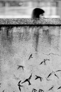Street art concrete wall with painted birds
