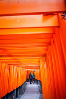 Torii gates at Fushimi Inari-Taisha sanctuary,Kyoto, Japan