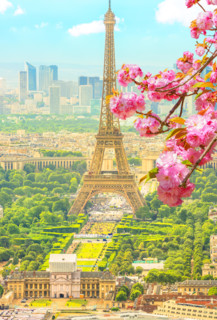 Cherry blossom branch in foreground and cityscape skyline of Paris with Eiffel Tower on background. Seasonal picturesque background. Scenic wallpaper with Eiffel Tower. Vertical shot.