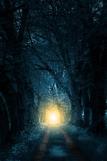 footpath trough mystically forest to sunlight