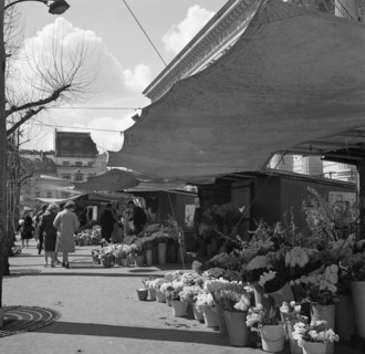 Pariser Bilder [The street life of Paris] Description: Flower stalls at the foot of the Madeleine Date: 1965 Location: France, Paris Keywords: flowers, markets, street sculptures, street vendors