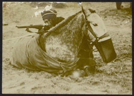Description: [Algerian or Moroccan] cavalryman with rifle refuge behind a horse lying Annotation: The horse has a feed bag around his muzzle. Photo seems staged. Date: {1914-1918} Keywords: WWI, rifle...