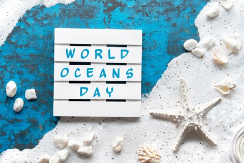 World Oceans Day text. Background with white sand on turquoise blue texture with shells, starfish.