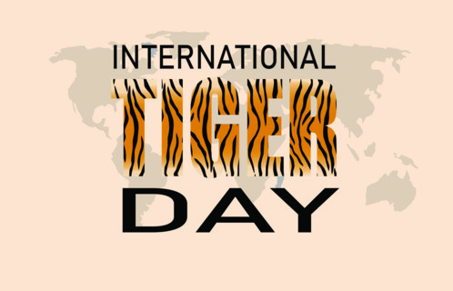 International Tiger Day on July 29th raises awareness about the dwindling numbers of the biggest of the big cats. vector illustration