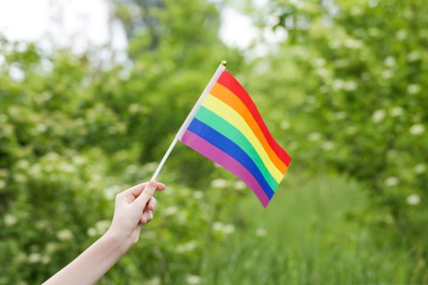 Teenager Holds Rainbow Flag LGBT in his Hands on Nature Background. Pride Month. Lesbian Gay Bisexual Transgender. Love, human rights, tolerance