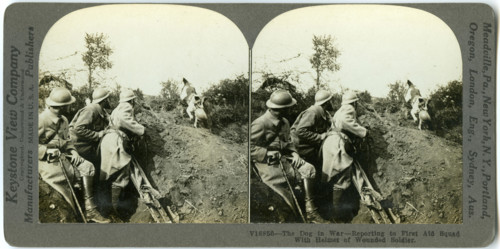 Horizontal, sepia stereocard showing three uniformed soldiers and a dog. The dog is carrying a soldier's helmet in its mouth. Keystone Stereograph number V18856. The title reads: 'The Dog in War - Rep...