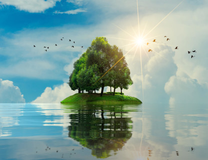 Island sea tree Summer vacation Relax Tree in the middle of the sea