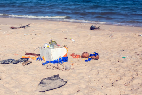 Pollutions and garbages in the sea and on the beach