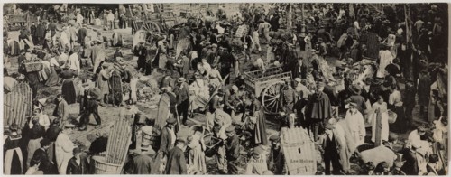 PARIS - THE HALLS (RUE BALTARD) Anonyme. Les Halles, rue Baltard. Paris (Ier arr.). Phototypie. Paris, musée Carnavalet.