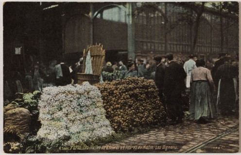 PARIS - THE HALLS OF 6 TO 8 HOURS HOURS MORNING: ONIONS (RUE BALTARD) L.V & Compagnie. Les Halles de 6 heures à 8 heures du matin : oignons (rue Baltard), Paris (Ier arr.). Phototypie, Aqua photo/L.V ...