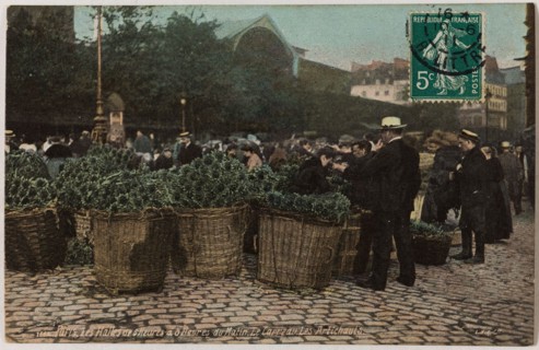 PARIS - THE HALLS OF 6 TO 8 HOURS HOURS MORNING THE TILE OF ARTICHOKES (RUE BALTARD) L.V & Compagnie. Aqua photo. Les Halles de 6 heures à 8 heures du matin le carreau des artichauts (rue Baltard), Pa...
