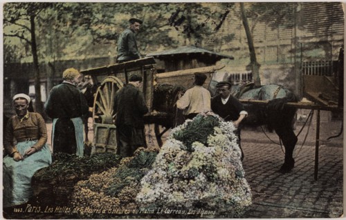 PARIS - THE HALLS OF 6 TO 8 HOURS HOURS MORNING: THE TILE, ONIONS (RUE BALTARD) L.V & Compagnie. Les Halles de 6 heures à 8 heures du matin : le Carreau, les oignons (rue Baltard), Paris (Ier arr.). P...