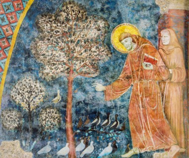 Assisi, Umbria, Italy. Fresco of St. Francis of Assisi preaching to the birds outside of Bevagna, in the Basilica of Saint Francis of Assisi. (For Edi