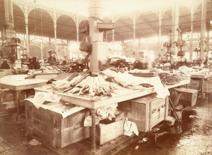 Fish display, at the Halles market, Baltard pavilion, 1st arrondissement, Paris, Atget, Eugène (Jean Eugène Auguste Atget), Photographer, In 1898, Photography, Graphic arts, Photography, Albumen print...