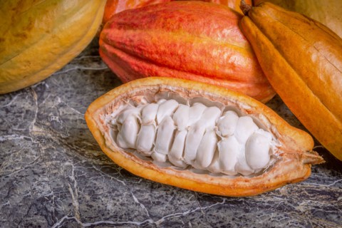 Cocoa pods still life close up whole organic marble top raw fruit