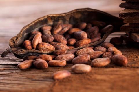 Cocoa pod and cocoa beans on the wooden table