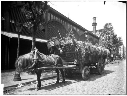 This 1910 photograph shows a general view of the Halles de Baltard, a famous market in Paris, known for its iron architecture and central location in the city.
