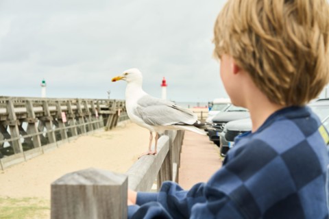 Boy watching bird at pier with lighthouse in the background