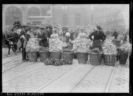 A press photograph from 1917 records activity in the Les Halles district of Paris during the First World War, documenting the central market area that played a key role in commerce, food distribution ...